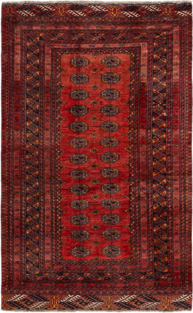 Tapis persan Turkaman 180x115 180x115, Tapis persan Noué à la main
