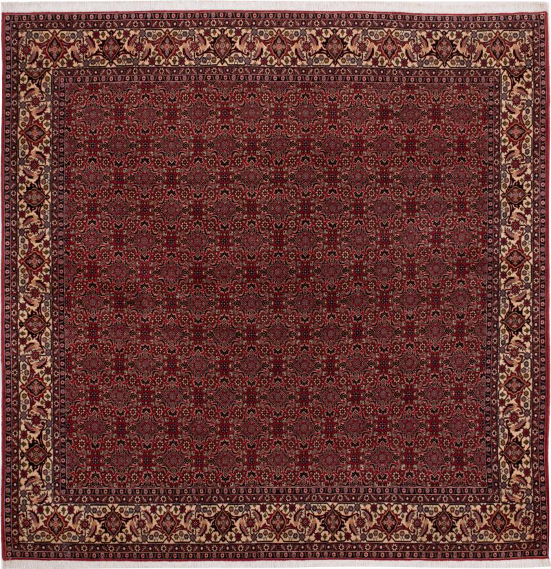 Persian Rug Bidjar 253x255 253x255, Persian Rug Knotted by hand