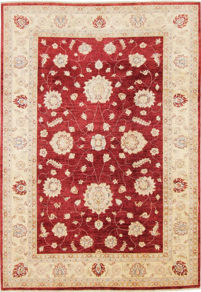 Afghan rug Ziegler Farahan 9'7"x6'9" 9'7"x6'9", Persian Rug Knotted by hand