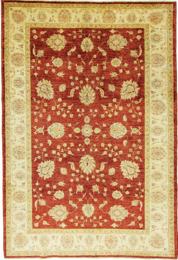 Afghan rug Ziegler Farahan 9'10"x6'8" 9'10"x6'8", Persian Rug Knotted by hand