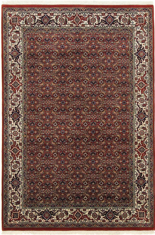 Indo rug Indo Bidjar Super 5'11"x4'2" 5'11"x4'2", Persian Rug Knotted by hand