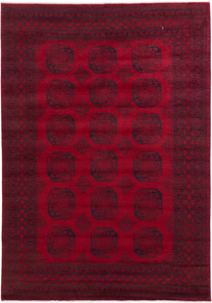 Afghan rug Afghan Akhche 9'7"x6'9" 9'7"x6'9", Persian Rug Knotted by hand