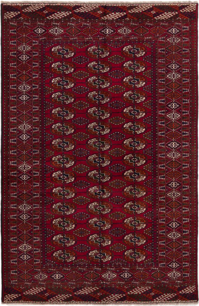 Afghanska mattan Afghan Mauri 195x127 195x127, Persisk matta Knuten för hand