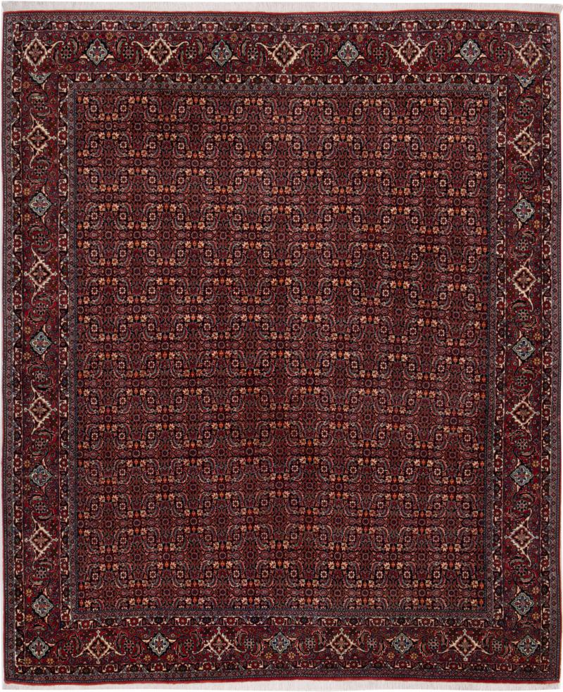 Persian Rug Bidjar 238x196 238x196, Persian Rug Knotted by hand