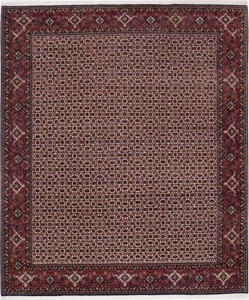 Persian Rug Bidjar 251x209 251x209, Persian Rug Knotted by hand
