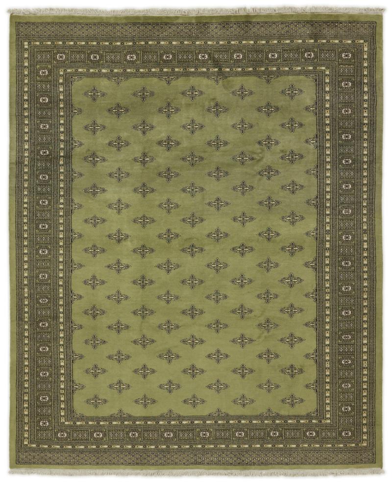 Alfombra pakistaní Pakistan Buchara 2ply 295x242 295x242, Alfombra persa Anudado a mano