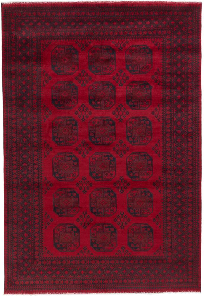 Afghan rug Afghan Akhche 9'8"x6'8" 9'8"x6'8", Persian Rug Knotted by hand