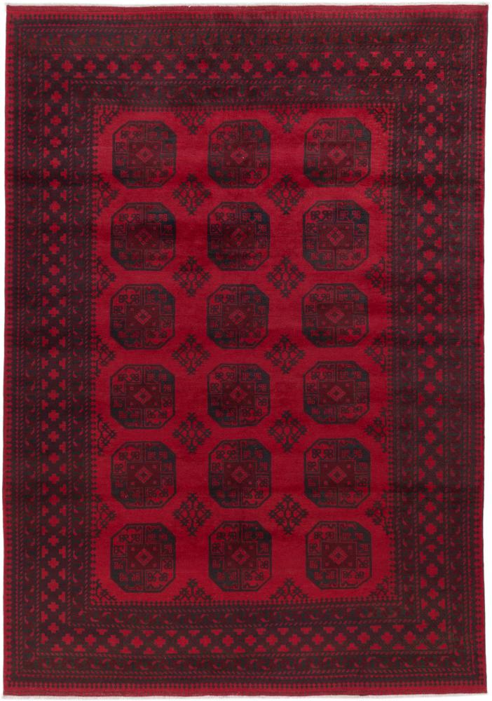 Afghan rug Afghan Akhche 9'7"x6'9" 9'7"x6'9", Persian Rug Knotted by hand