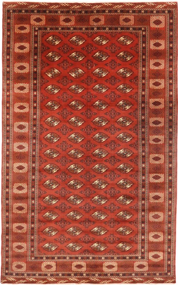 Persian Rug Turkaman 388x240 388x240, Persian Rug Knotted by hand