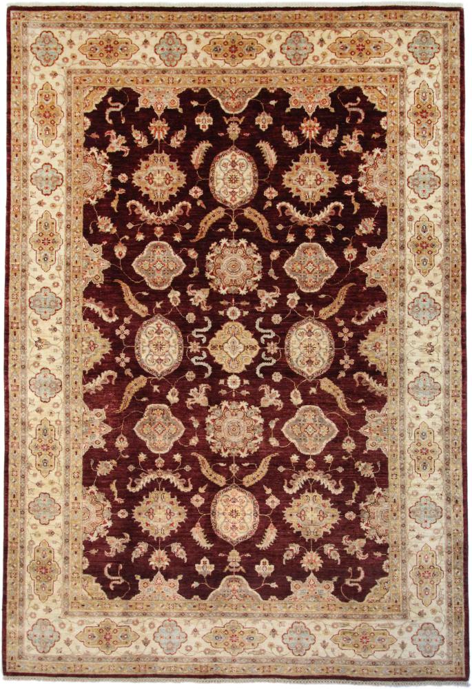 Afghan rug Ziegler Farahan 9'11"x6'10" 9'11"x6'10", Persian Rug Knotted by hand