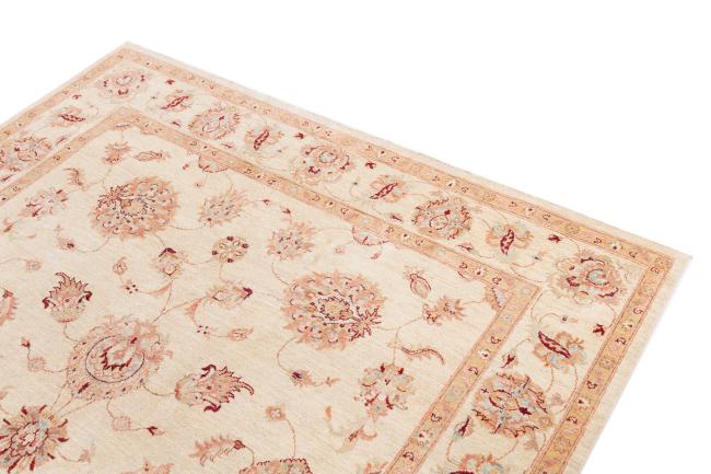 Ziegler Farahan - 3