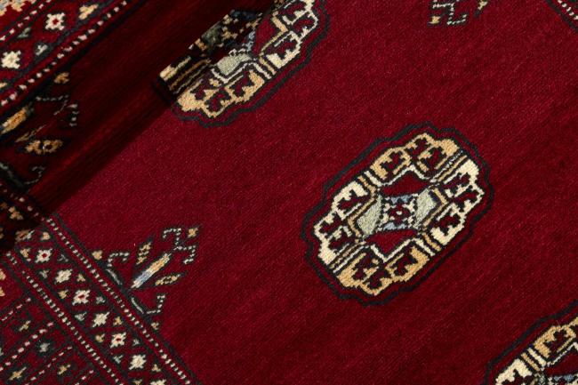 Pakistan Buchara 2ply - 2