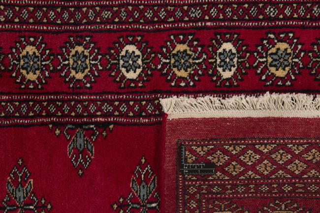 Pakistan Buchara 2ply - 1