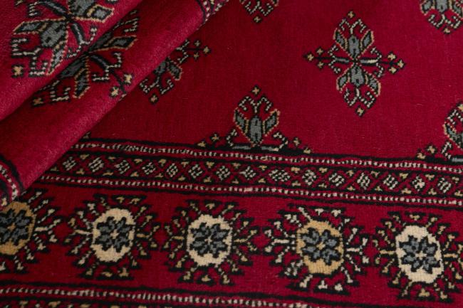 Pakistan Buchara 2ply - 2