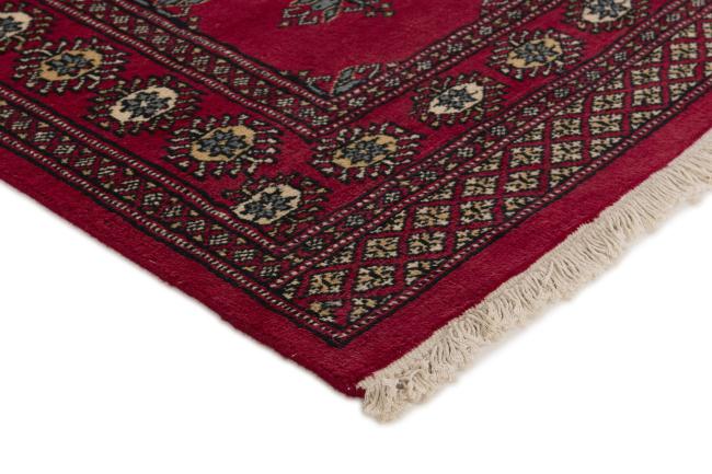 Pakistan Buchara 2ply - 3