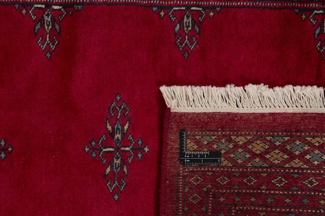 Pakistan Buchara 2ply - 1