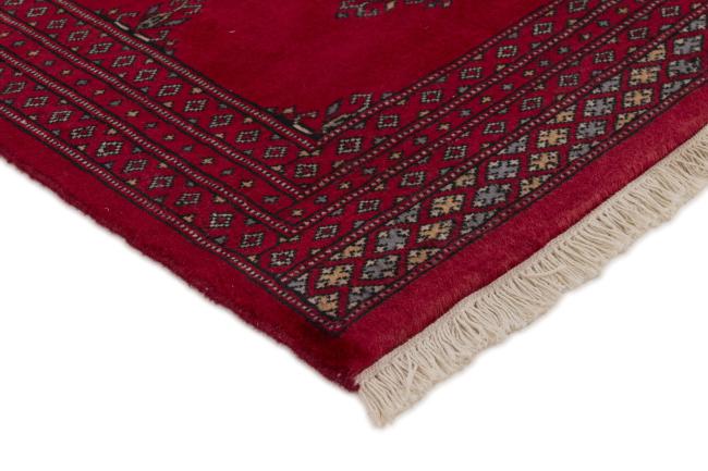Pakistan Buchara 2ply - 3