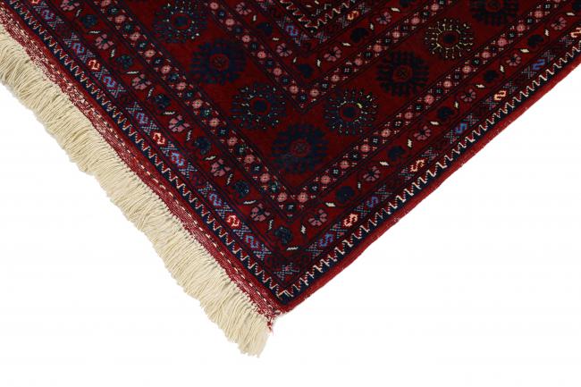 Afghan Mauri - 4