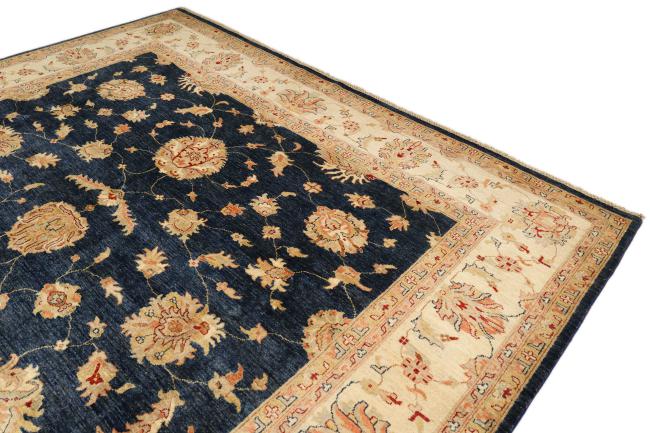 Ziegler Farahan - 3