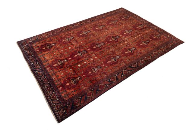 Afghan - 1