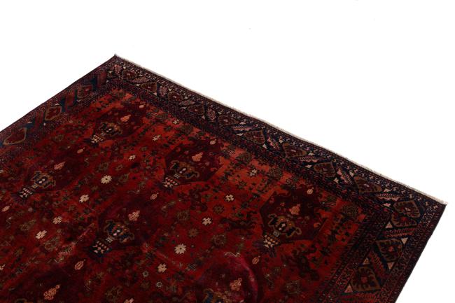 Afghan - 3
