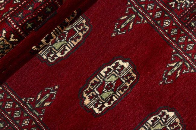 Pakistan Buchara 2ply - 2