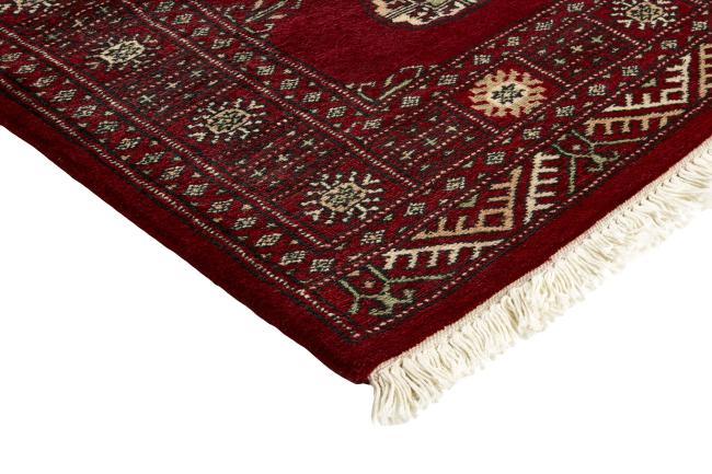 Pakistan Buchara 2ply - 3
