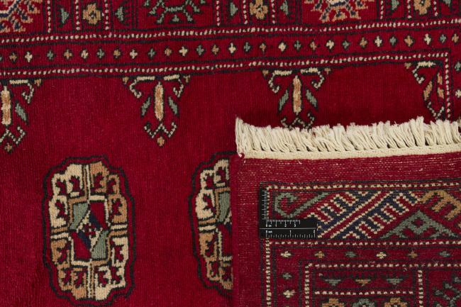 Pakistan Buchara 3ply - 1