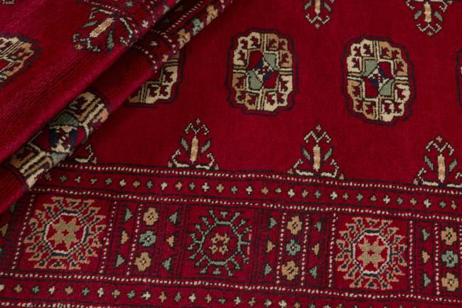 Pakistan Buchara 3ply - 2
