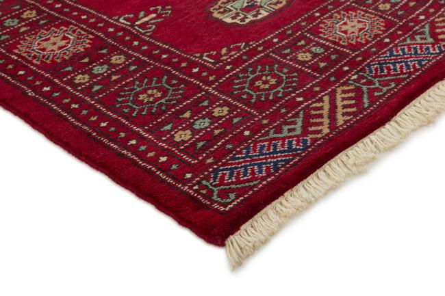 Pakistan Buchara 3ply - 3