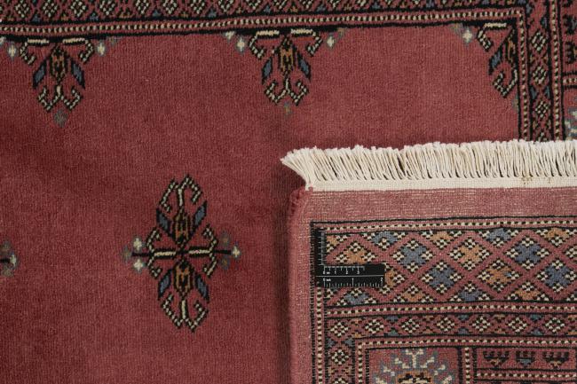 Pakistan Buchara 3ply - 1