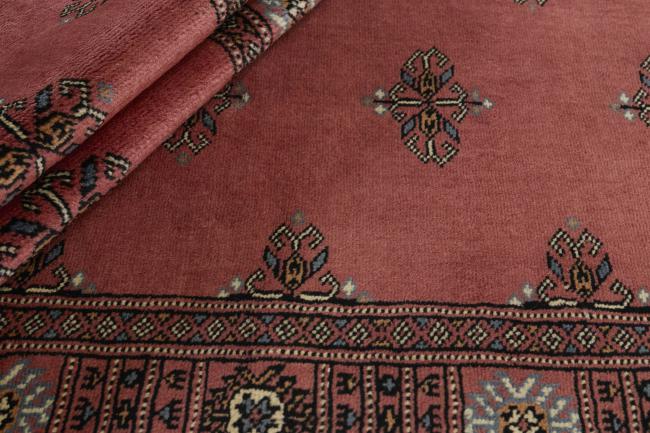 Pakistan Buchara 3ply - 2