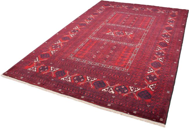 Afghan Mauri - 1