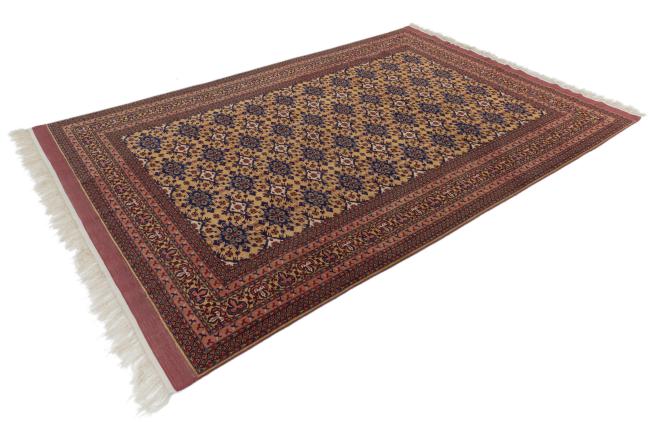 Afghan Silk - 2