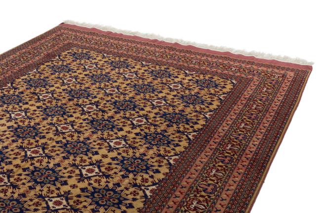 Afghan Silk - 3