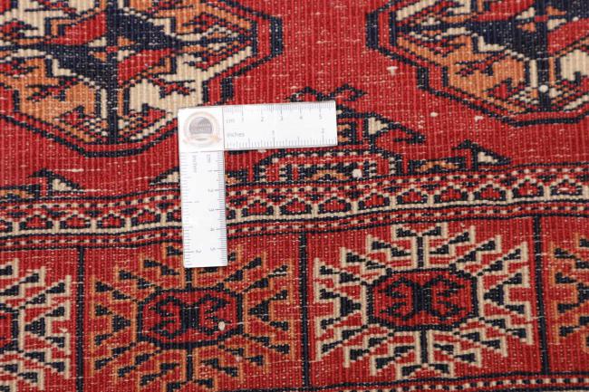 Turkaman - 10