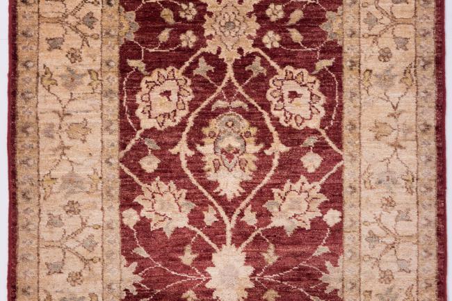 Ziegler Farahan - 4