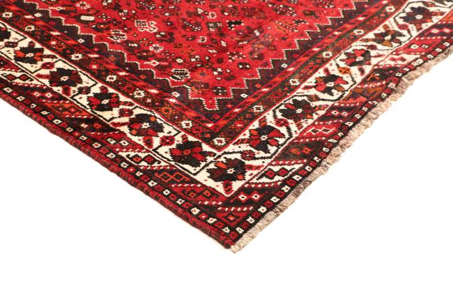 Shiraz - 4