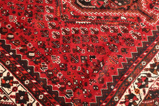 Shiraz - 5