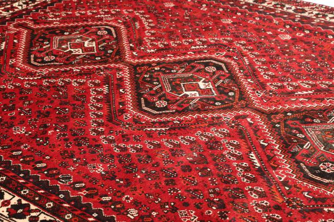 Shiraz - 6