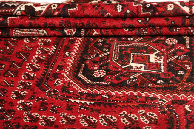 Shiraz - 9