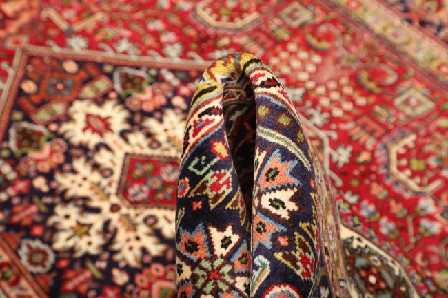 Shiraz - 8