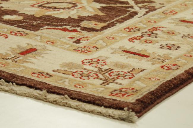 Ziegler Farahan - 3