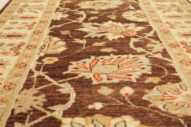 Ziegler Farahan - 7