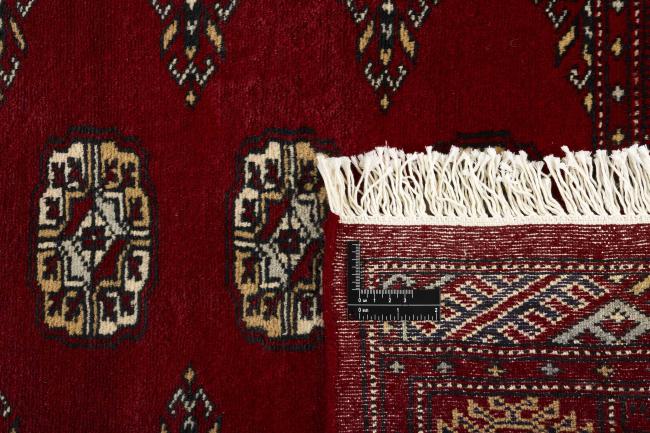 Pakistan Buchara 2ply - 1