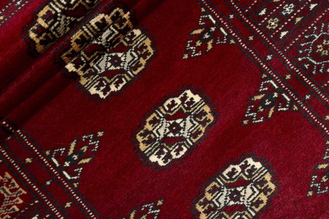 Pakistan Buchara 2ply - 2