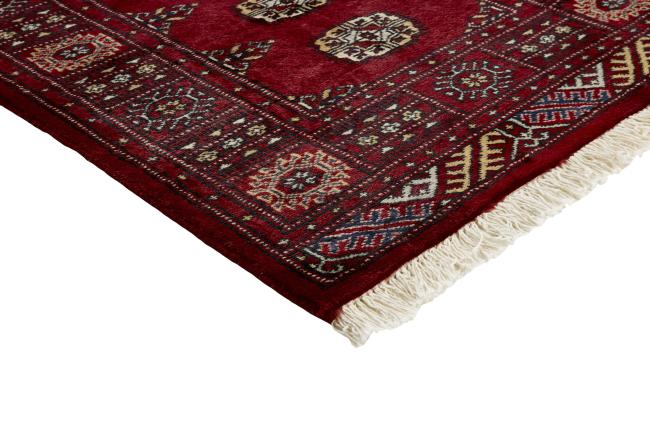 Pakistan Buchara 2ply - 3