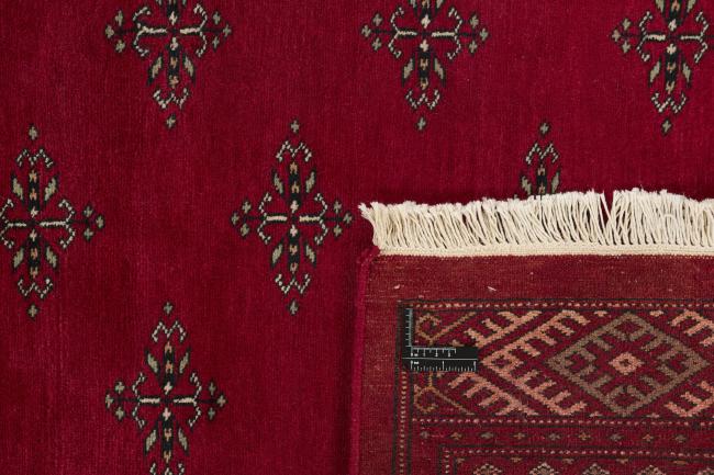 Pakistański Buchara 3ply - 1