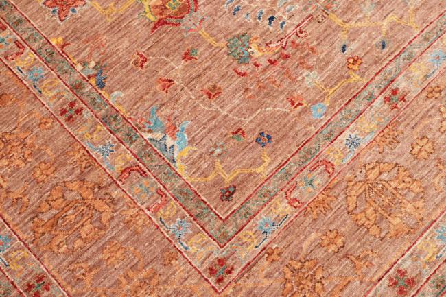 Ziegler Farahan - 5