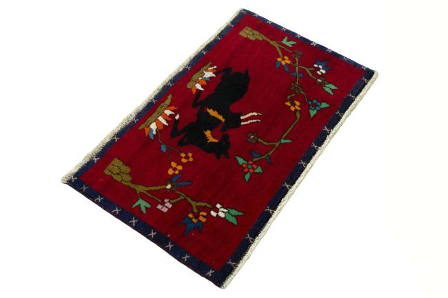Shiraz - 2